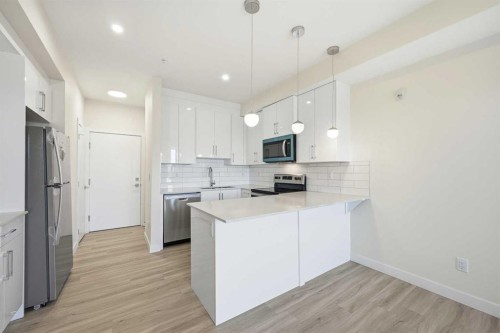 2307-15 Skyview Point Crescent Ne, Calgary, AB - Indoor Photo Showing Kitchen With Upgraded Kitchen