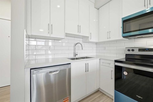 2307-15 Skyview Point Crescent Ne, Calgary, AB - Indoor Photo Showing Kitchen With Stainless Steel Kitchen With Double Sink With Upgraded Kitchen