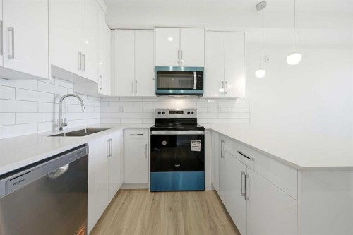 2307-15 Skyview Point Crescent Ne, Calgary, AB - Indoor Photo Showing Kitchen With Double Sink With Upgraded Kitchen