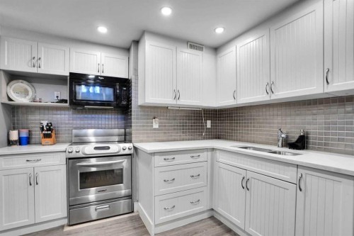 91 Copperstone Gate Se, Calgary, AB - Indoor Photo Showing Kitchen With Double Sink
