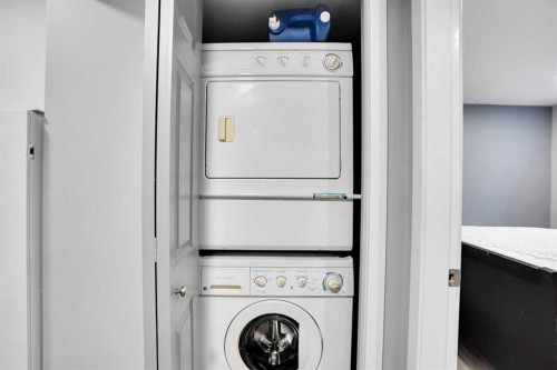 91 Copperstone Gate Se, Calgary, AB - Indoor Photo Showing Laundry Room