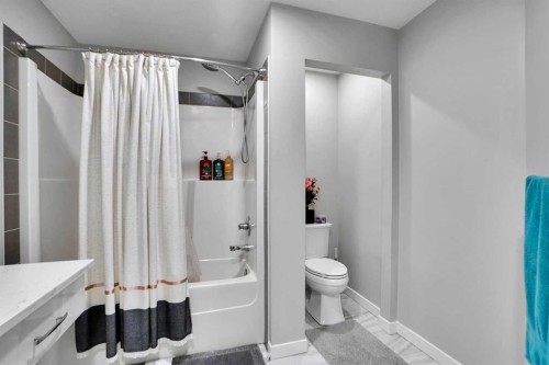 91 Copperstone Gate Se, Calgary, AB - Indoor Photo Showing Bathroom