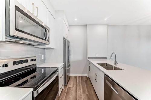 112 Evanscrest Square Nw, Calgary, AB - Indoor Photo Showing Kitchen With Double Sink With Upgraded Kitchen