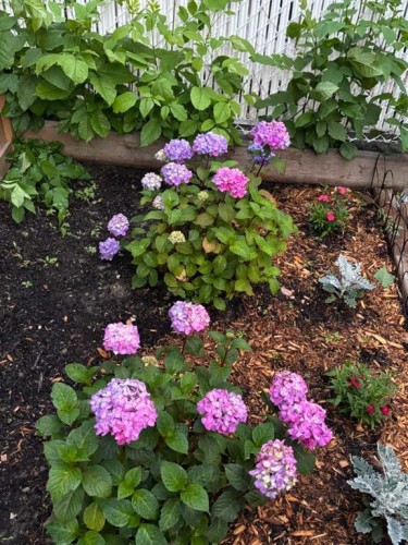 132 Wedgewood Drive Sw, Calgary, AB - Outdoor