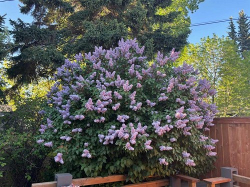 132 Wedgewood Drive Sw, Calgary, AB - Outdoor