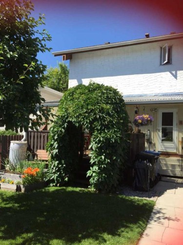 3412 Temple Road Ne, Calgary, AB - Outdoor