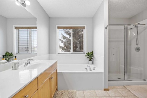 390 Cove Road, Chestermere, AB - Indoor Photo Showing Bathroom