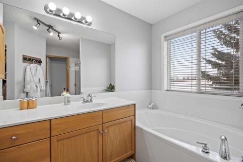 390 Cove Road, Chestermere, AB - Indoor Photo Showing Bathroom