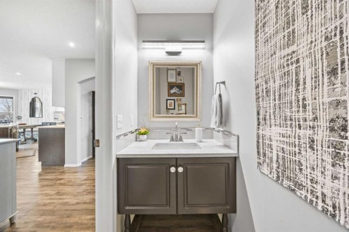 390 Cove Road, Chestermere, AB - Indoor Photo Showing Bathroom
