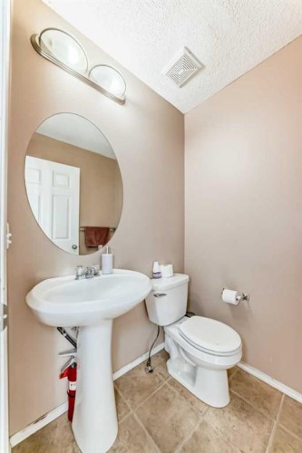 79 Saddlebrook Common Ne, Calgary, AB - Indoor Photo Showing Bathroom
