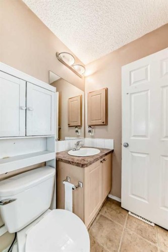 79 Saddlebrook Common Ne, Calgary, AB - Indoor Photo Showing Bathroom