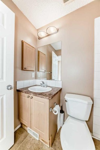 79 Saddlebrook Common Ne, Calgary, AB - Indoor Photo Showing Bathroom
