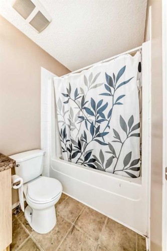 79 Saddlebrook Common Ne, Calgary, AB - Indoor Photo Showing Bathroom
