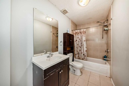 79 Saddlebrook Common Ne, Calgary, AB - Indoor Photo Showing Bathroom