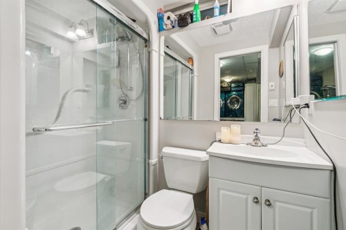107 Sunbank Way Se, Calgary, AB - Indoor Photo Showing Bathroom