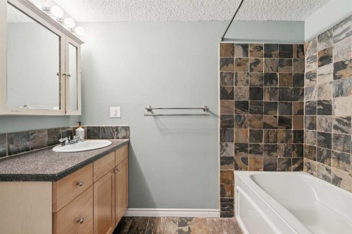 1104-1540 29 Street Nw, Calgary, AB - Indoor Photo Showing Bathroom