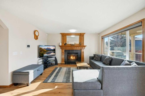 63 Coral Springs Green Ne, Calgary, AB - Indoor Photo Showing Living Room With Fireplace