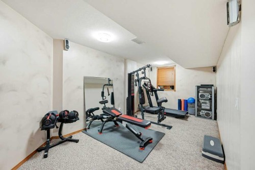 63 Coral Springs Green Ne, Calgary, AB - Indoor Photo Showing Gym Room