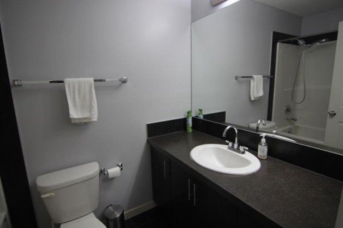 337 Copperpond Landing Se, Calgary, AB - Indoor Photo Showing Bathroom