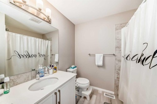 202-245 Redstone Walk Ne, Calgary, AB - Indoor Photo Showing Bathroom