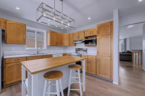 24 Sunlake Circle Se, Calgary, AB - Indoor Photo Showing Kitchen