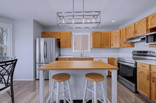 24 Sunlake Circle Se, Calgary, AB - Indoor Photo Showing Kitchen With Double Sink