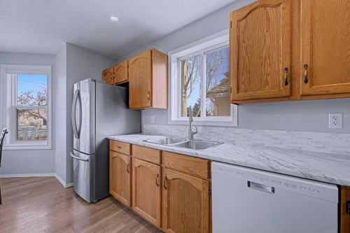 24 Sunlake Circle Se, Calgary, AB - Indoor Photo Showing Kitchen With Double Sink