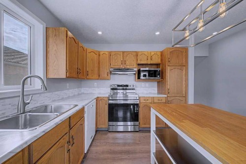 24 Sunlake Circle Se, Calgary, AB - Indoor Photo Showing Kitchen With Double Sink