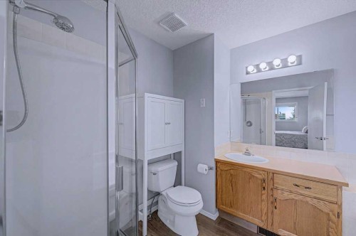 24 Sunlake Circle Se, Calgary, AB - Indoor Photo Showing Bathroom