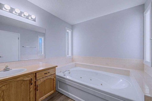 24 Sunlake Circle Se, Calgary, AB - Indoor Photo Showing Bathroom