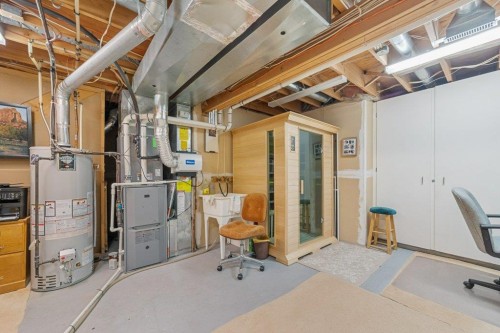 52 Macewan Park Heights Nw, Calgary, AB - Indoor Photo Showing Basement