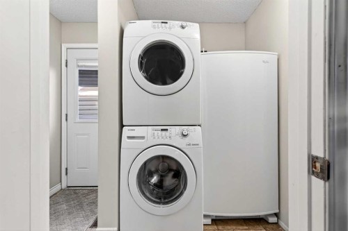 168 Midlake Boulevard Se, Calgary, AB - Indoor Photo Showing Laundry Room
