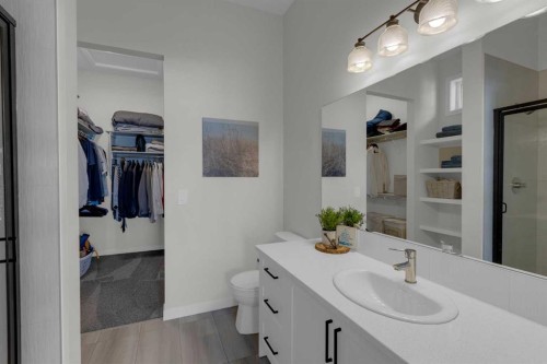 812 Reynolds Manor Sw, Airdrie, AB - Indoor Photo Showing Bathroom