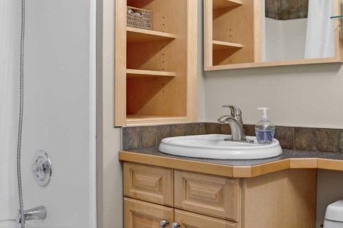 353 Regal Park Ne, Calgary, AB - Indoor Photo Showing Bathroom