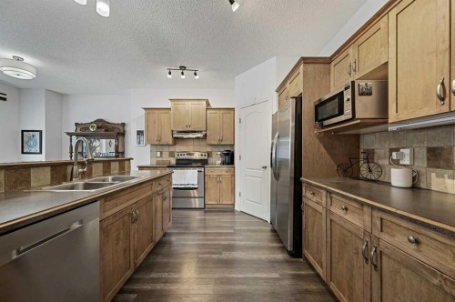169 Panamount Green Nw, Calgary, AB - Indoor Photo Showing Kitchen With Stainless Steel Kitchen With Double Sink