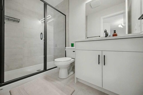 123 Treeline View Sw, Calgary, AB - Indoor Photo Showing Bathroom