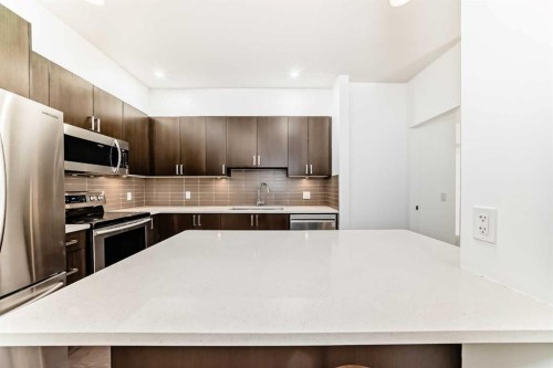 109-22 Auburn Bay Link Se, Calgary, AB - Indoor Photo Showing Kitchen With Stainless Steel Kitchen With Upgraded Kitchen