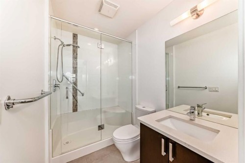 109-22 Auburn Bay Link Se, Calgary, AB - Indoor Photo Showing Bathroom