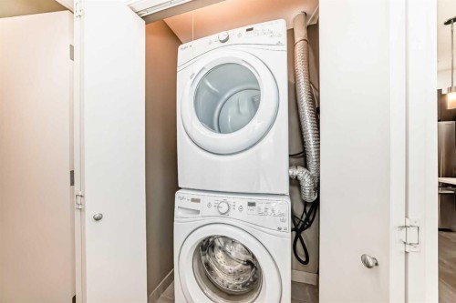 109-22 Auburn Bay Link Se, Calgary, AB - Indoor Photo Showing Laundry Room