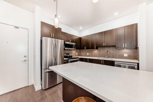 109-22 Auburn Bay Link Se, Calgary, AB - Indoor Photo Showing Kitchen With Stainless Steel Kitchen With Upgraded Kitchen