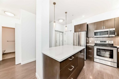 109-22 Auburn Bay Link Se, Calgary, AB - Indoor Photo Showing Kitchen With Stainless Steel Kitchen With Upgraded Kitchen