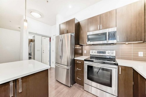 109-22 Auburn Bay Link Se, Calgary, AB - Indoor Photo Showing Kitchen With Stainless Steel Kitchen