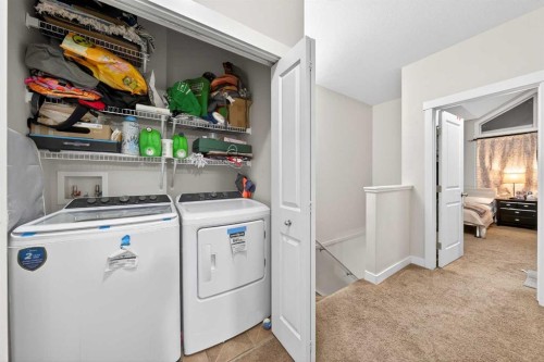 156 Skyview Ranch Road Ne, Calgary, AB - Indoor Photo Showing Laundry Room