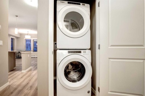 316-30 Mahogany Mews Se, Calgary, AB - Indoor Photo Showing Laundry Room