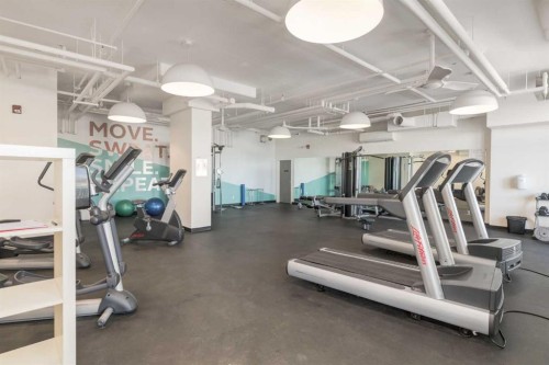 316-30 Mahogany Mews Se, Calgary, AB - Indoor Photo Showing Gym Room