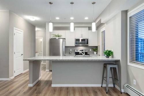 316-30 Mahogany Mews Se, Calgary, AB - Indoor Photo Showing Kitchen With Upgraded Kitchen