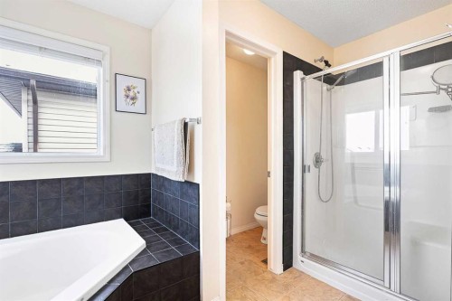 436 Cimarron Boulevard, Okotoks, AB - Indoor Photo Showing Bathroom