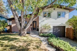 91 Chisholm Crescent NW Calgary, AB T2L 0Y9
