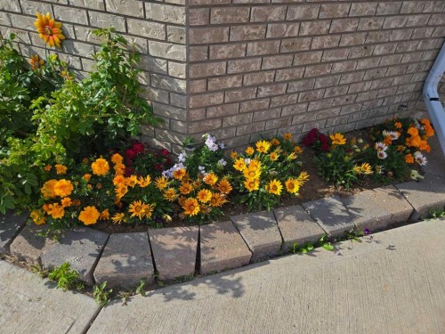 1310 23 Avenue, Didsbury, AB - Outdoor