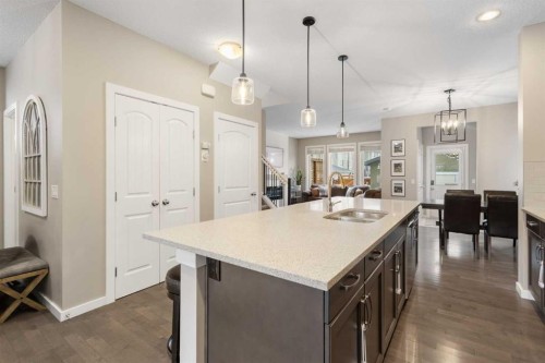 41 Marquis Common Se, Calgary, AB - Indoor Photo Showing Kitchen With Double Sink With Upgraded Kitchen